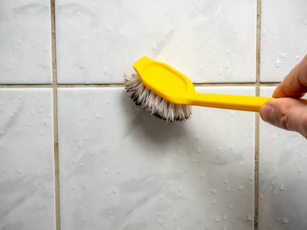 Mold Removal Process in Coal Fork, WV