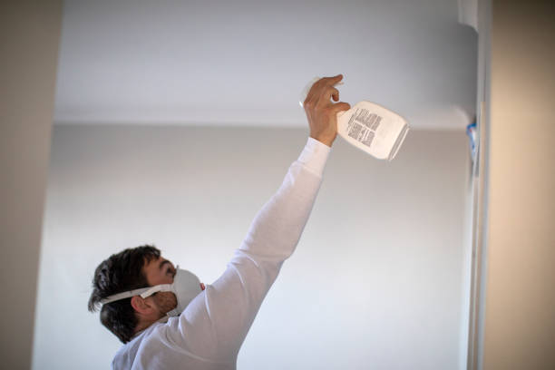 Best Office Mold Removal Services  in Coal Fork, WV