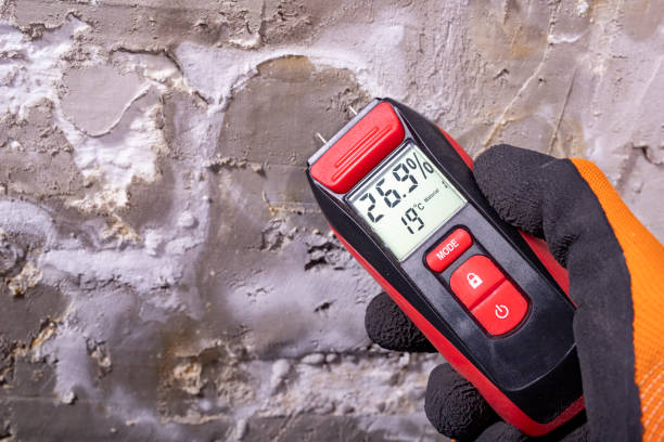 Best Water Damage Restoration  in Coal Fork, WV