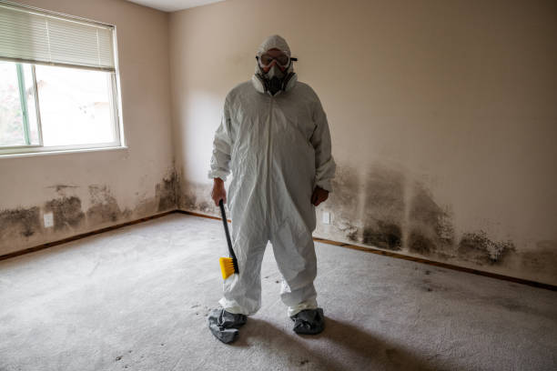 Best Residential Mold Removal  in Coal Fork, WV